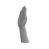 3d model - hand_sculpted