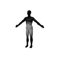 3d model - Basic Body test x