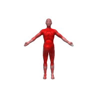 3d model - Basic Body