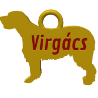 3d model - virgi