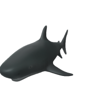 3d model - shark