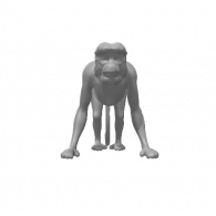 3d model - Monkey