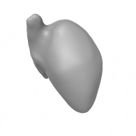 3d model - Heart