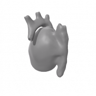 3d model - Heart