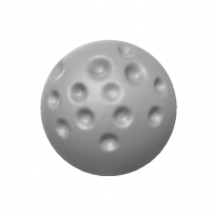 3d model - Dinoflagelate