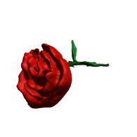 3d model - rose