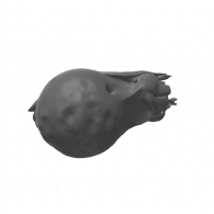 3d model - meteorite