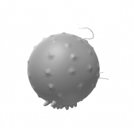 3d model - insect