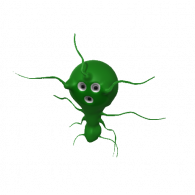 3d model - bug