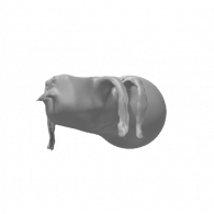 3d model - spyder