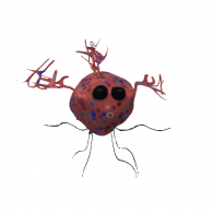 3d model - Brooke Bug