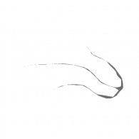 3d model - gggfghfhgyuyh