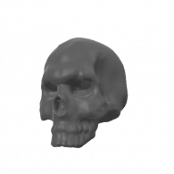 3d model - skull