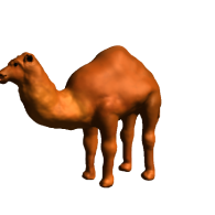 3d model - camel 