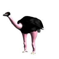 3d model - ostrich