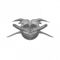 3d model - dayıı