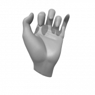 3d model - hand