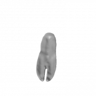 3d model - zunge