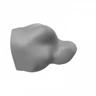 3d model - feline head base