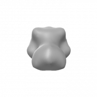 3d model - feline head base