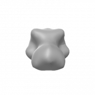 3d model - feline head base