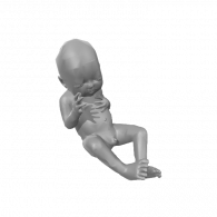 3d model - 78735