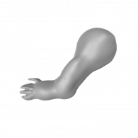 3d model - arm