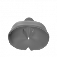 3d model - fawn chest and neck