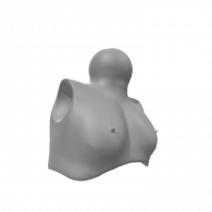 3d model - fawn chest and neck1