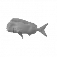 3d model - Dorado
