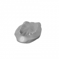 3d model - MJD_D