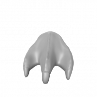 3d model - foot