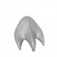 3d model - feet