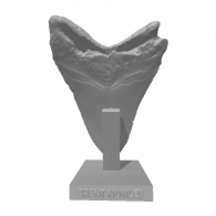 3d model - 79347