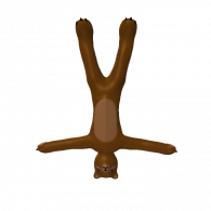 3d model - BearPrimorie