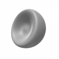 3d model - Honeys Animal