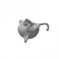 3d model - RIA