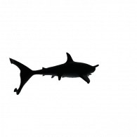 3d model - 3D shark