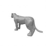 3d model - Lioleer