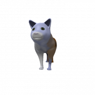 3d model - Cat