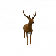 3d model - ronce