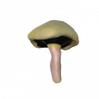 3d model - Agaricus Campestris (mushroom)
