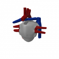3d model - Heart