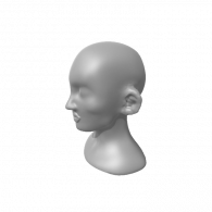 3d model - 81911