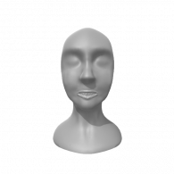 3d model - Face Project