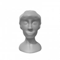 3d model - head