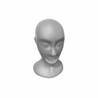 3d model - Zombie Face