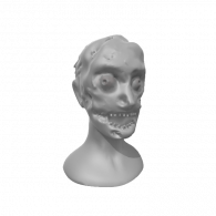 3d model - Zombie Face ear