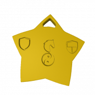 3d model - star pendant