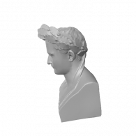 3d model - Napoleon Bust